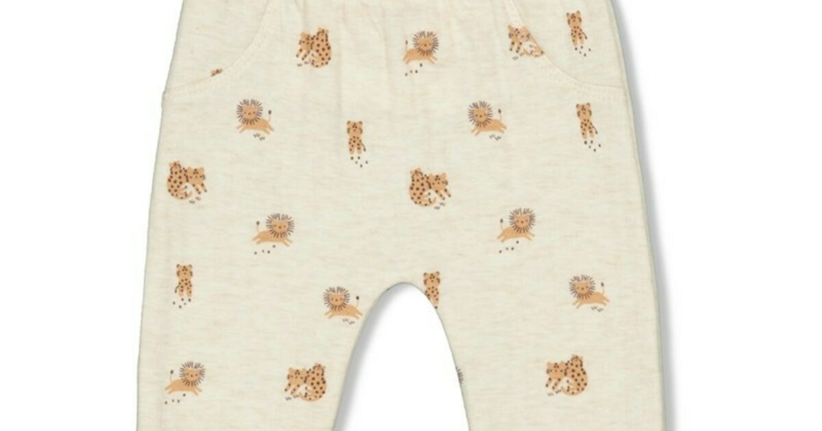 Feetje Broekje AOP - Tiny Roar Offwhite melange | Kindermodehuis.nl